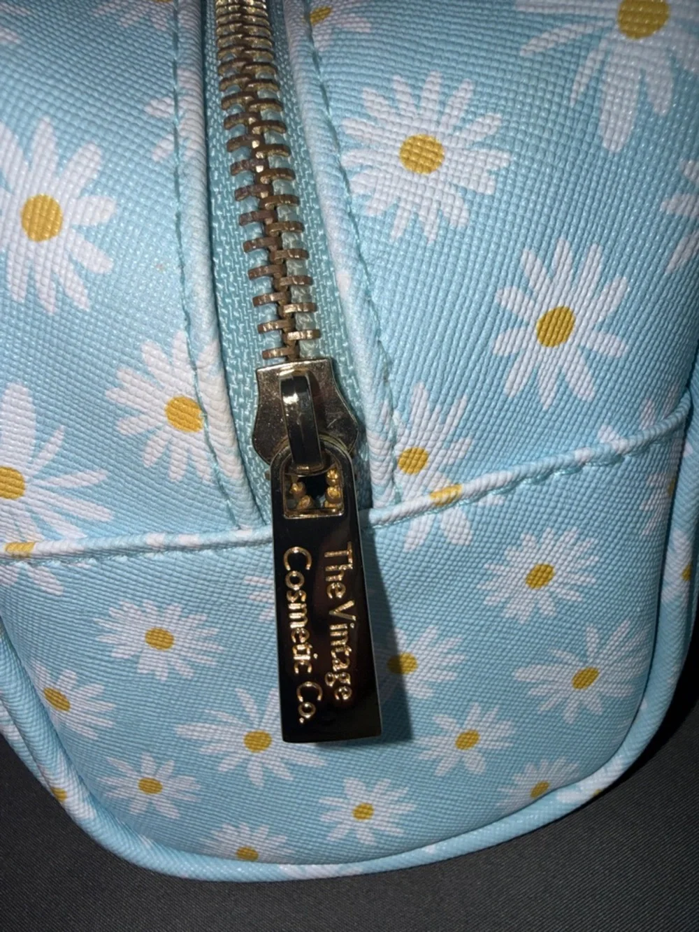 Vintage Daisy Print Light Blue Cosmetic Pouch
